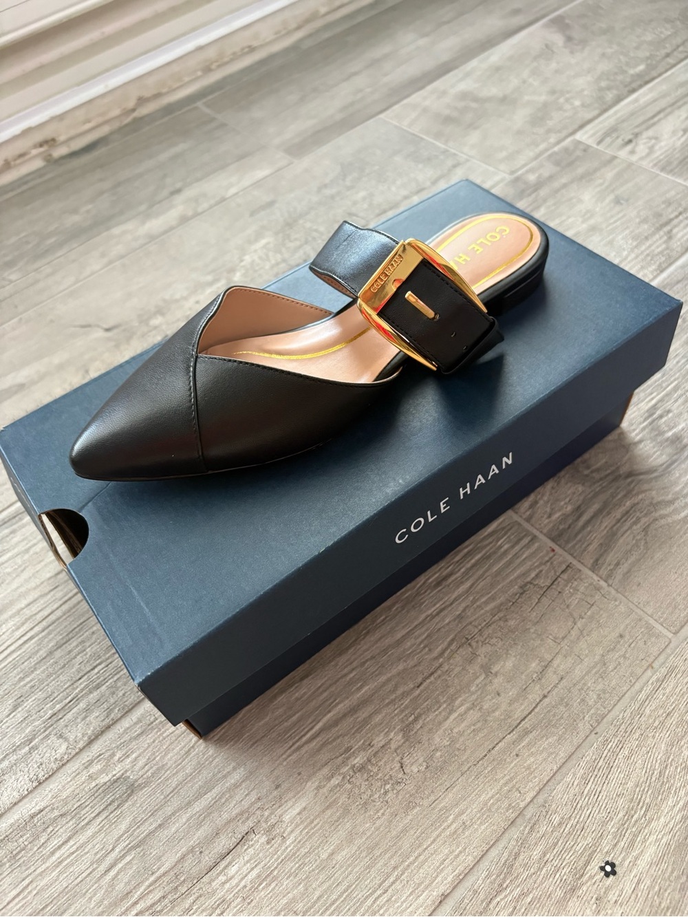Cole Haan Black Leather Pointed Mule with Gold Buckle Accent